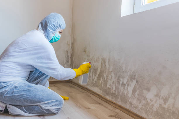 Hvac And Air Duct Mold Remediation inspection of HVAC system in Gloucester Point